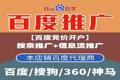 百度品牌专区推广：打造品牌形象的新途径